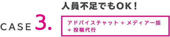 case3.人員不足でもOK!アドバイスチャット+メディア一括+投稿代行